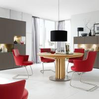 Modernes Ess - oder Speisezimmer mit Schwingstühlen