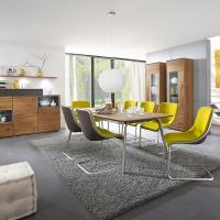 Modernes Ess - oder Speisezimmer mit Schwingstühlen