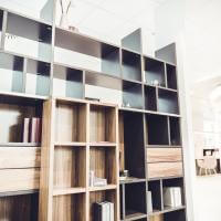 Bücherregal mit Schieberegal, Schiebeelement Schiebetür, Bibliothek modern Erfurt, Baukastenmöbel Wohnzimmerwand, TV Wand Erfurt