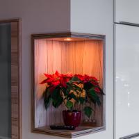 Modern Klassik Klassisch Wohnküche Küche Wohnen Integriert Integration Weimar Stein Arbeitsplatte Holzoptik Miele Bora Siemens Leder Holz Optik Fenster Highlight Toll Erfurt Kochfeld Ceran Abzugshaube Spüle Faltliftschrank Hängeschrank Backofen Garer Speisekammer Kammer Vorrat Vorratskammer Fenster Terrasse Ausblick Perfekt Sensation 