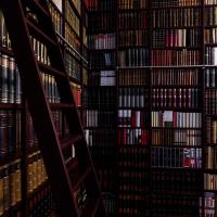 Bibliothek Classic Bücher Buch Nuss Holz Nussbaum Großzügig Riesig Mit Leiter Sofa Stehlampe Leselampe Wohnluxus Wohnen Trend Design Schlicht Klassisch Dunkel Dunkles Holz Erfurt Weimar Jena Arnstadt Ilmenau Coburg Gera Gotha Eisenach