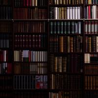 Bibliothek Classic Bücher Buch Nuss Holz Nussbaum Großzügig Riesig Mit Leiter Sofa Stehlampe Leselampe Wohnluxus Wohnen Trend Design Schlicht Klassisch Dunkel Dunkles Holz Erfurt Weimar Jena Arnstadt Ilmenau Coburg Gera Gotha Eisenach