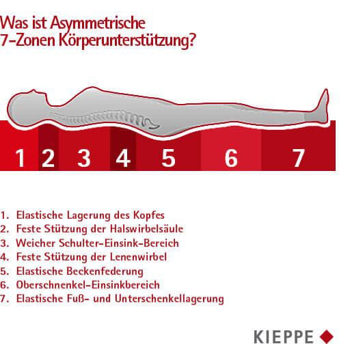 Asymmetrische 7-Zonene Körperunterstützung Asymmetrische 7-Zonen Körperunterstützung