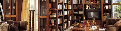 Bibliotheken